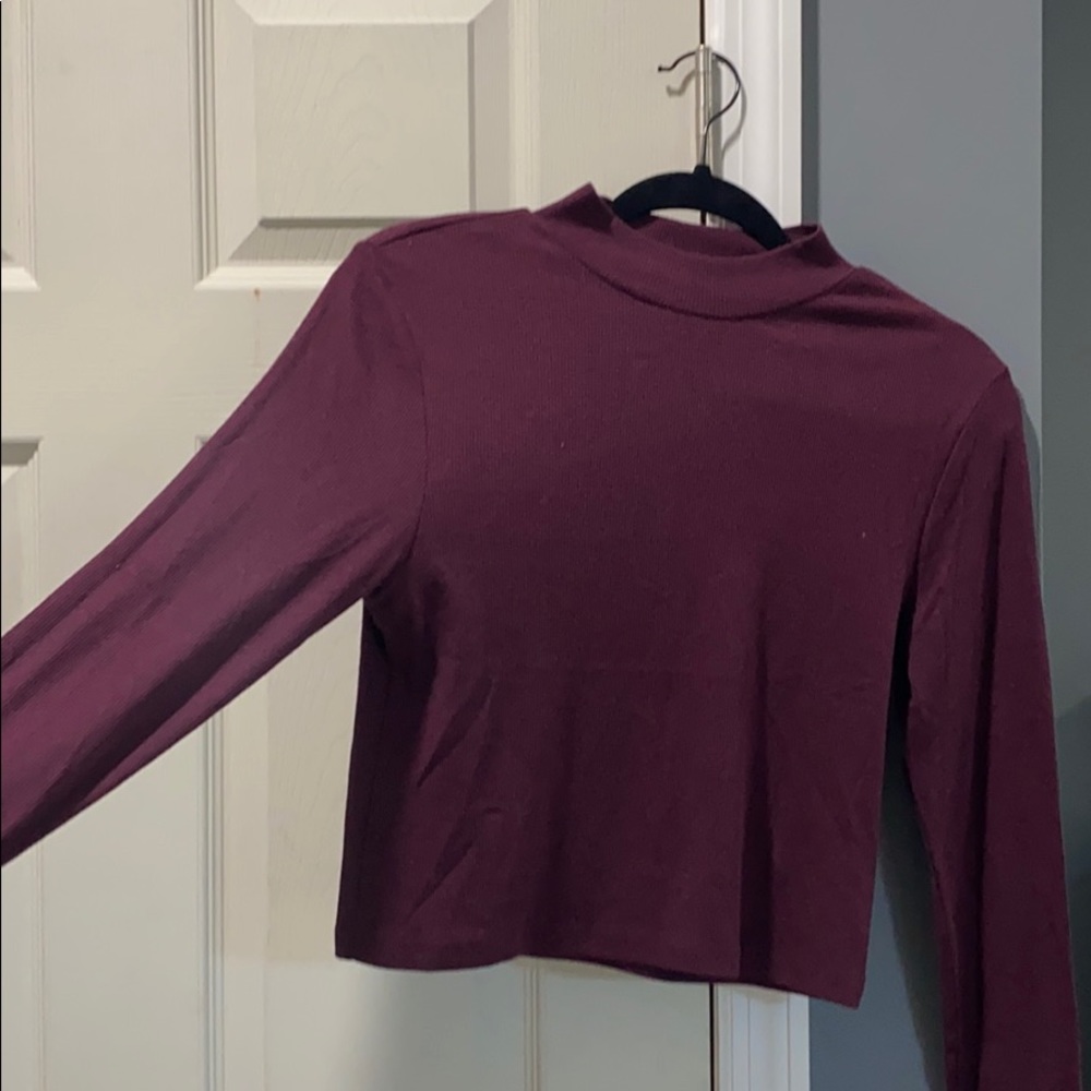 Long sleeve, crop top